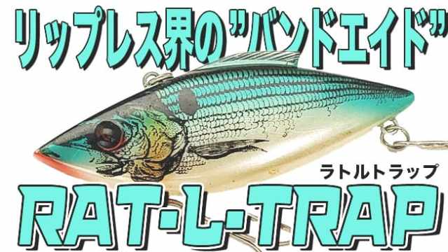 ザ・ジャパニーズクラシックが巨大化して更にパワーアップ！デカ