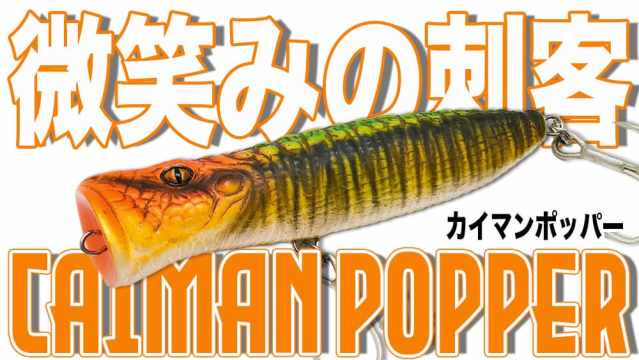先代の汚名を晴らしたワイドウォブルクランクの伏兵 オリジナル