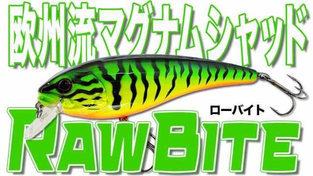 小さいからってナメてかかると泣きをみる”小粒のダイナマイト” ベビー