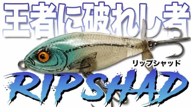 浮上時のユラユラアクションも楽しみたいビッグなクラシッククランク