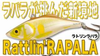 ウィズバン(のパッケージ) The Package of Wiz Bang / ストーム Storm