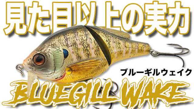 釣ってナンボ」もいいけど「動かしてナンボ」なルアーがもっと広がると