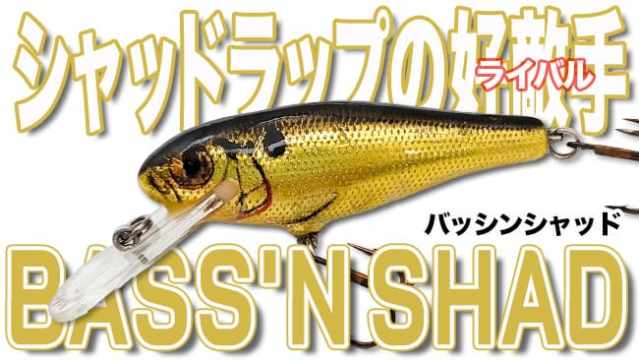 バッドトリック Bad Trick / バスダス Bass Dass