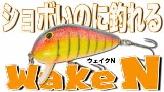 T*B様 ストーム　ウィズバン　WHIZ BANG ウィズバン(のパッケージ) The Package of Wiz Bang / ストーム Storm