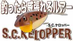 kelopper-240x135.jpg