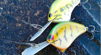 キャッチングコンセプト Catching Concepts Crankbait | ルアー千一夜