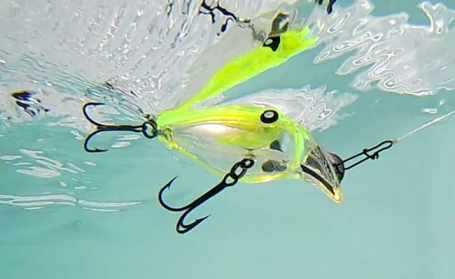 レーベル ルアーズ Rebel Lures | ルアー千一夜