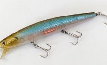 岩盤撃ちアングラーが咽び泣いたルアーのオハナシ / ザウルス アンクル